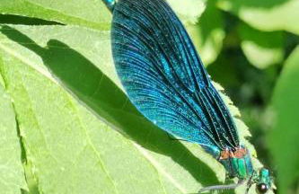 Holiday Home Itzinger by Interhome - Foto 25