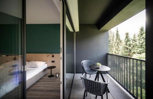 Sambucus Apartments -Premium Apartments for You and Your Dog - Photo 34