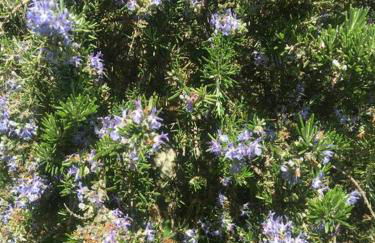 Welcome in Toscana - Foto 9