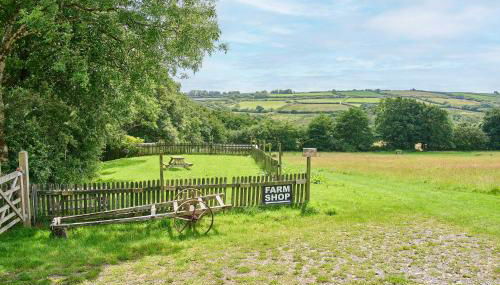 Host & Stay - Dipple Farm Shepherds Hut - Foto 4