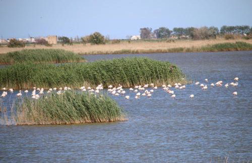 Apartamento Bellavista - Foto 23
