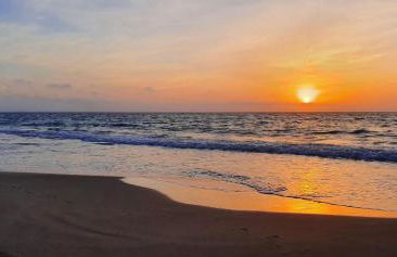 Alicante Sea View - Photo 11