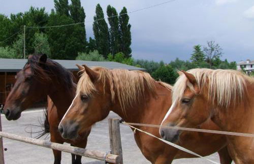 Agriturismo L'Acero Rosso - Foto 58