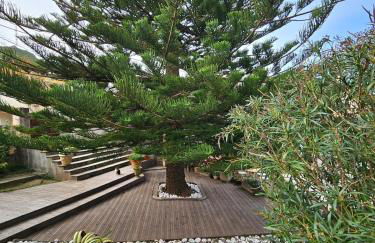 Domaine U Pozzu - Foto 14