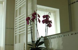 Quirinus Venetia Properties - Foto 18