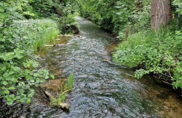 Dom wakacyjny w Lubianie - Foto 22