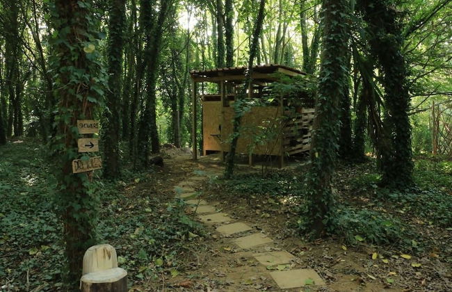 Associação Quinta das Relvas - Foto 16