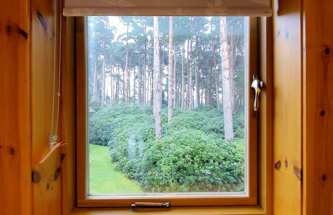 The Dorset Resort - Foto 27