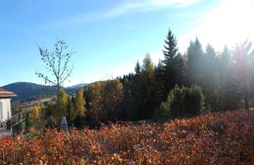 Tesino Appartamenti - Foto 24