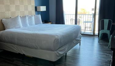 Trade Winds on the Bay - Foto 2