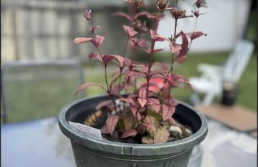 Haven of Elegance and Comfort - Foto 30