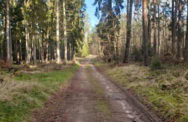 Alt Sammit - Foto 15