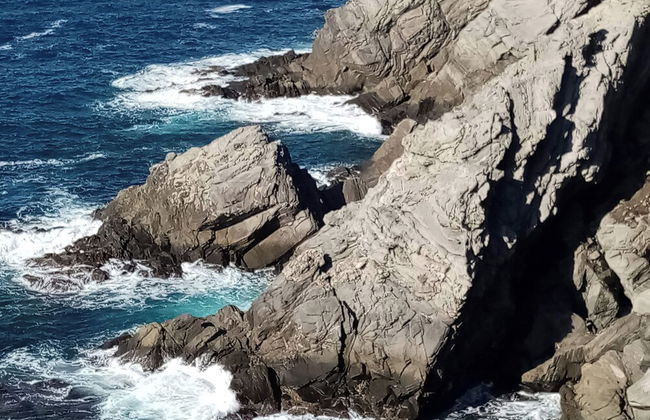 Sardinian Villa Enjoy Stintino With Your Pets ! - Photo 14