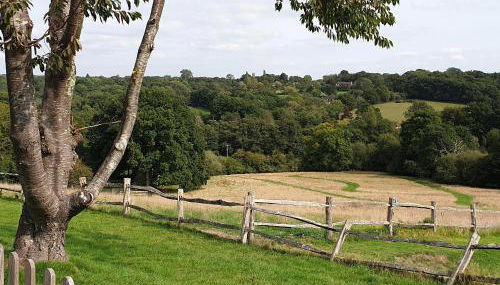 Birch Cottage - Foto 2