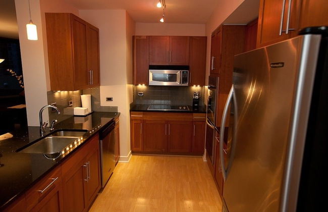 Chicago Downtown Condo - Michigan Ave Suite ID 14-15 - Foto 7