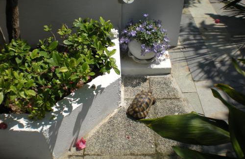 Manolis' House - Foto 49