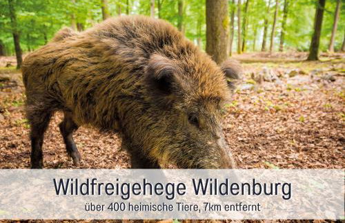 4 Sterne Ferienhaus "Zum Weiher" - Foto 39