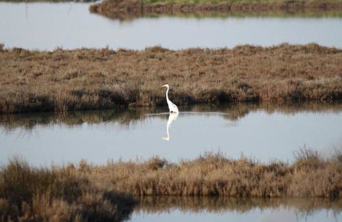 Casa Oriana - Foto 42