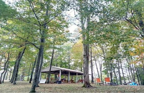 The Evergreen Cabin - Foto 1