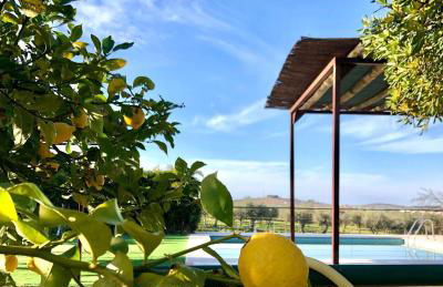 Quinta da Trombeta - Foto 8