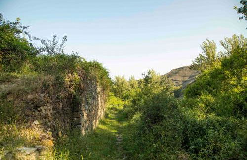 Casa Rural El Huerto de la Fragua - Foto 6