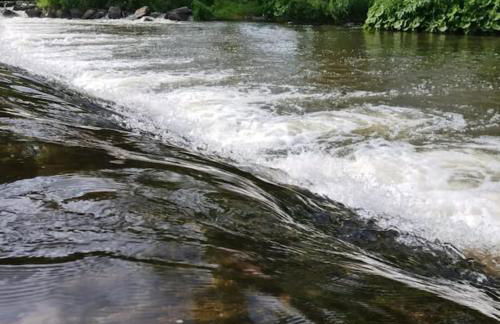 Lindenwohnung an historischer Mühle - Photo 9