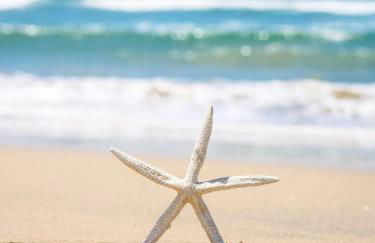 Little Cayman - Foto 28