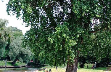 Pokoje nad Radunią - taras i ogrodek - Foto 5