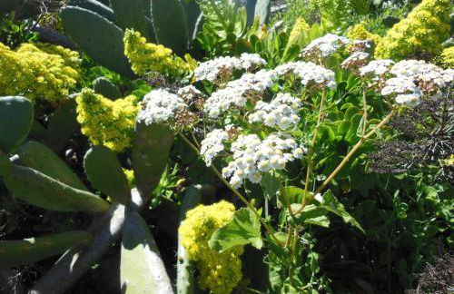 Casa Rural Aborigen Bimbache - Foto 55