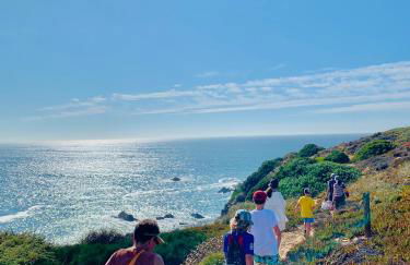 Studio Indigo - Foto 26