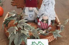 Green House - Photo 46