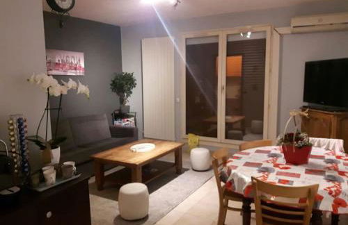 Appartement en Rez de jardin climatisée 2 pièces-cuisine avec terrasse et jardin - Foto 6