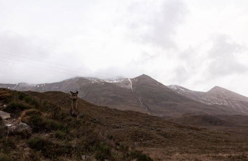 Coulin Farmhouse - Photo 25