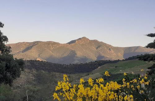 Casa azul & blanca - Foto 24