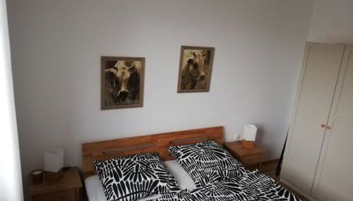 Ferienwohnungen Frank - Foto 4