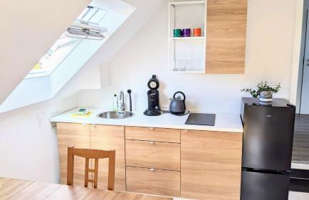 Moderne Einliegerwohnung am Wald - Foto 5