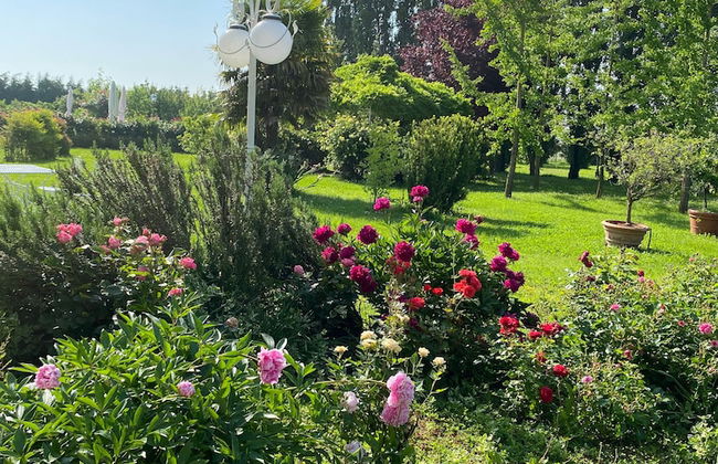 Agriturismo Millefiori Corte delle Rose - Foto 52