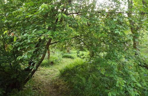 The Singing Heart, TirNaNog Cozy Cottage near Lochgilphead !!HIDDEN GEM!! - Foto 52