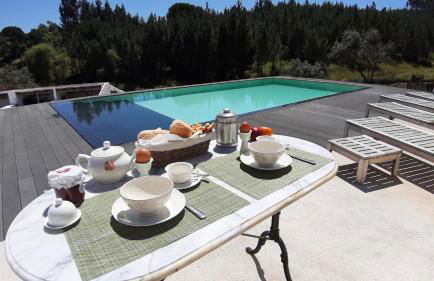 Gecko Pego Longo - Foto 29