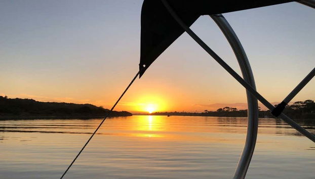 Boat Ride Down Sundays River - Foto 4