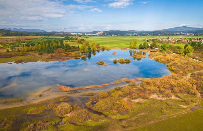 Modern Flat Mateja - Foto 18