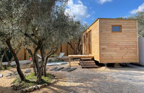 La Tiny House des Oliviers et son jacuzzi - Foto 21