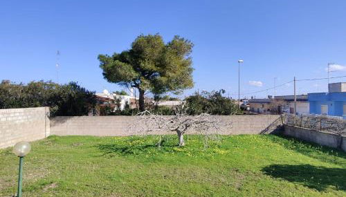 Villa Petricore - San Foca - Foto 4, Garden, Garden view