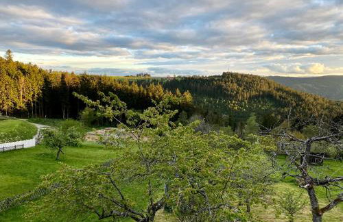 Ferienhaus mit 5* Luxus im Schwarzwald - Foto 42