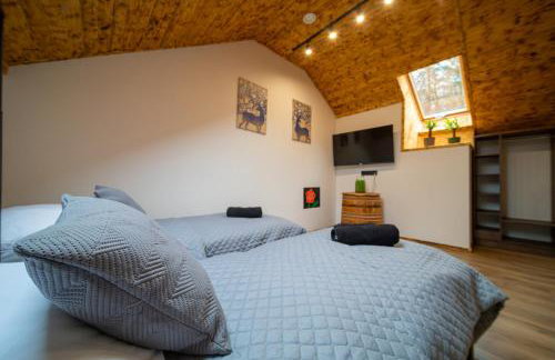 Czarni Górale - Foto 33