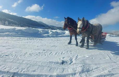 Rajski Zakątek - jeden domek na działce z gorącą balią i mini ZOO - Foto 72