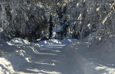 La casetta della nonna - Photo 18