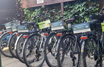 PROMYK - Apartamenty & Pokoje - dla dorosłych - Foto 12