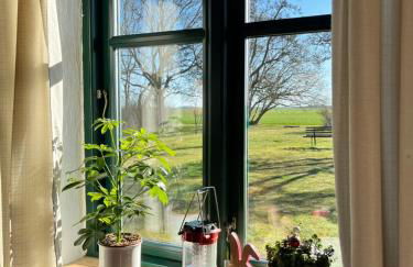 Ferienwohnungen Dargatz - Foto 48