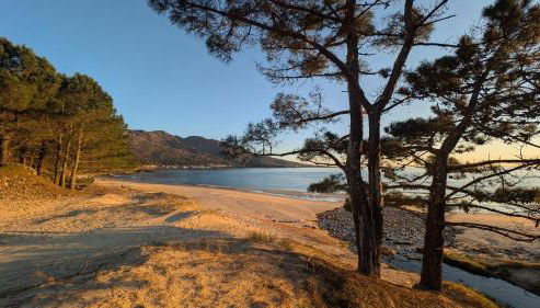 Casa Carmen e do Hilario - Foto 4